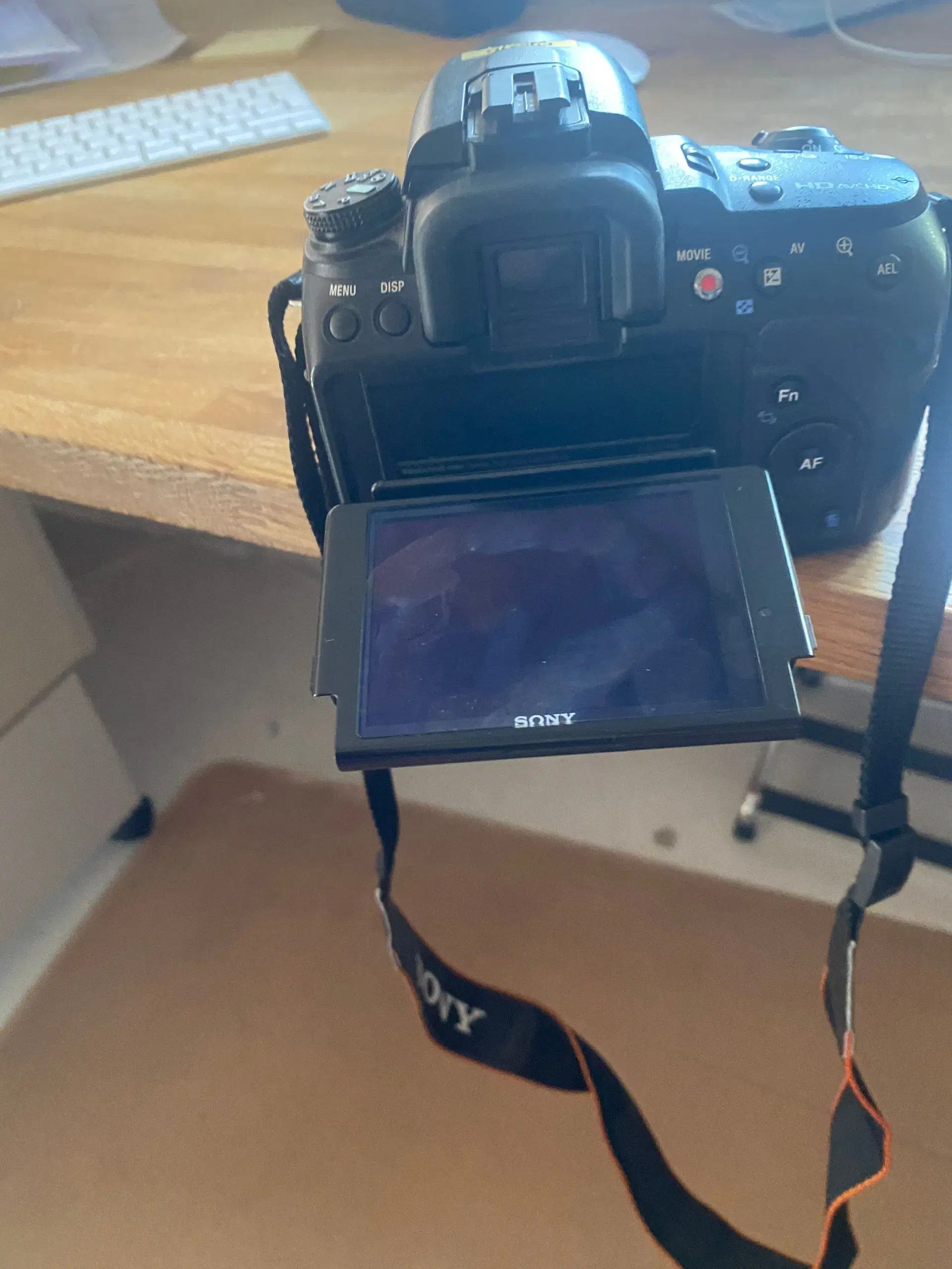 Sony Alpha A580 and A560 shoot AVCHD 1080i or MP4