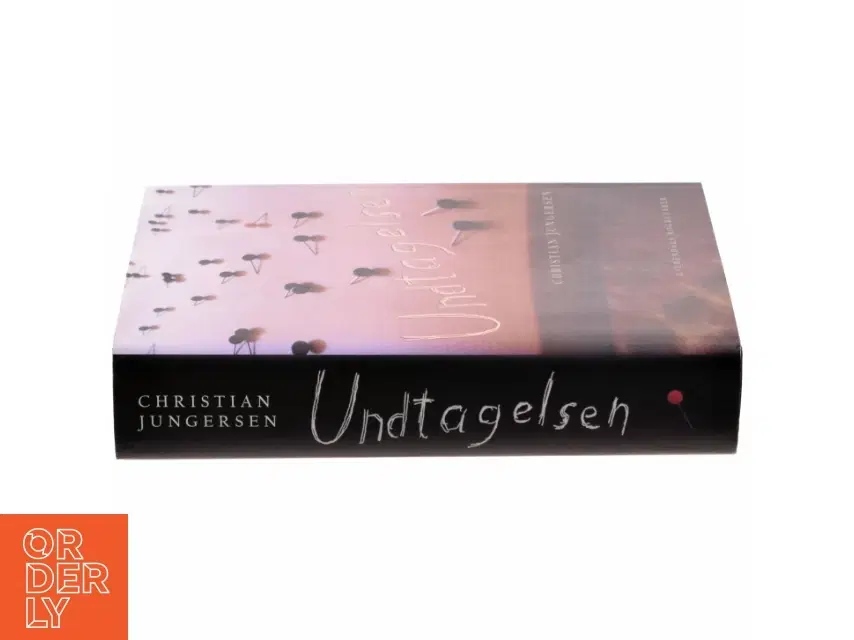 Undtagelsen : roman af Christian Jungersen (Bog)