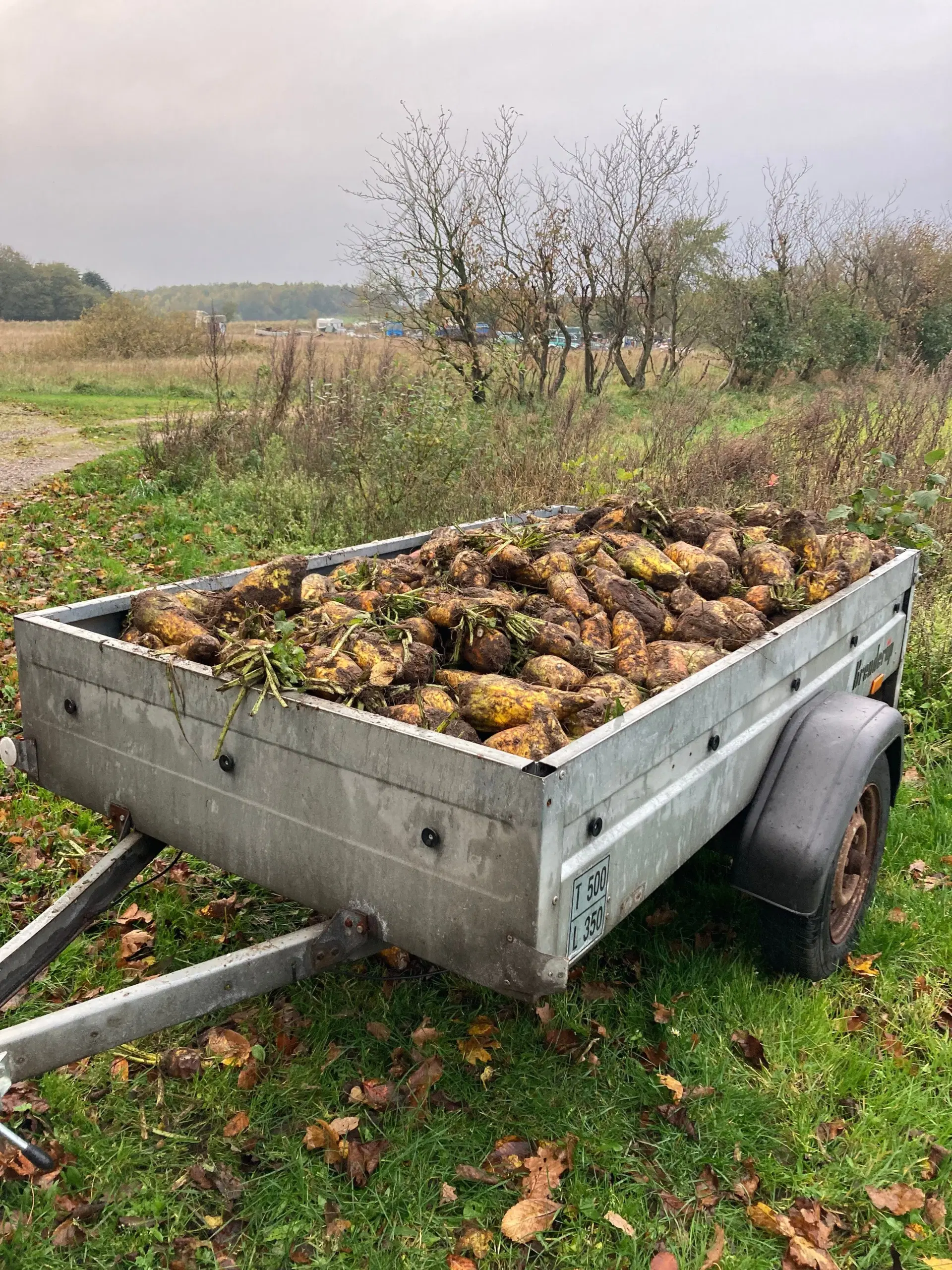 Rodoir à 3 pierres douces P2R pour cylindre de Ø51 à 178mm