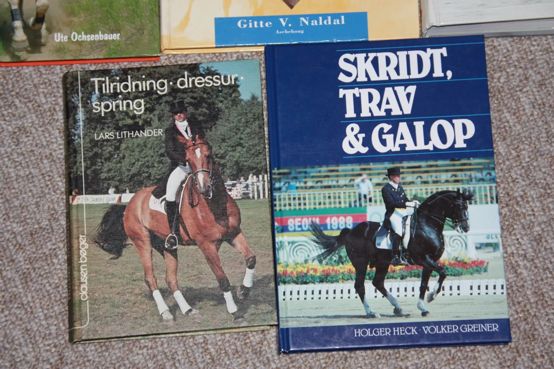 Skridt trav og galop