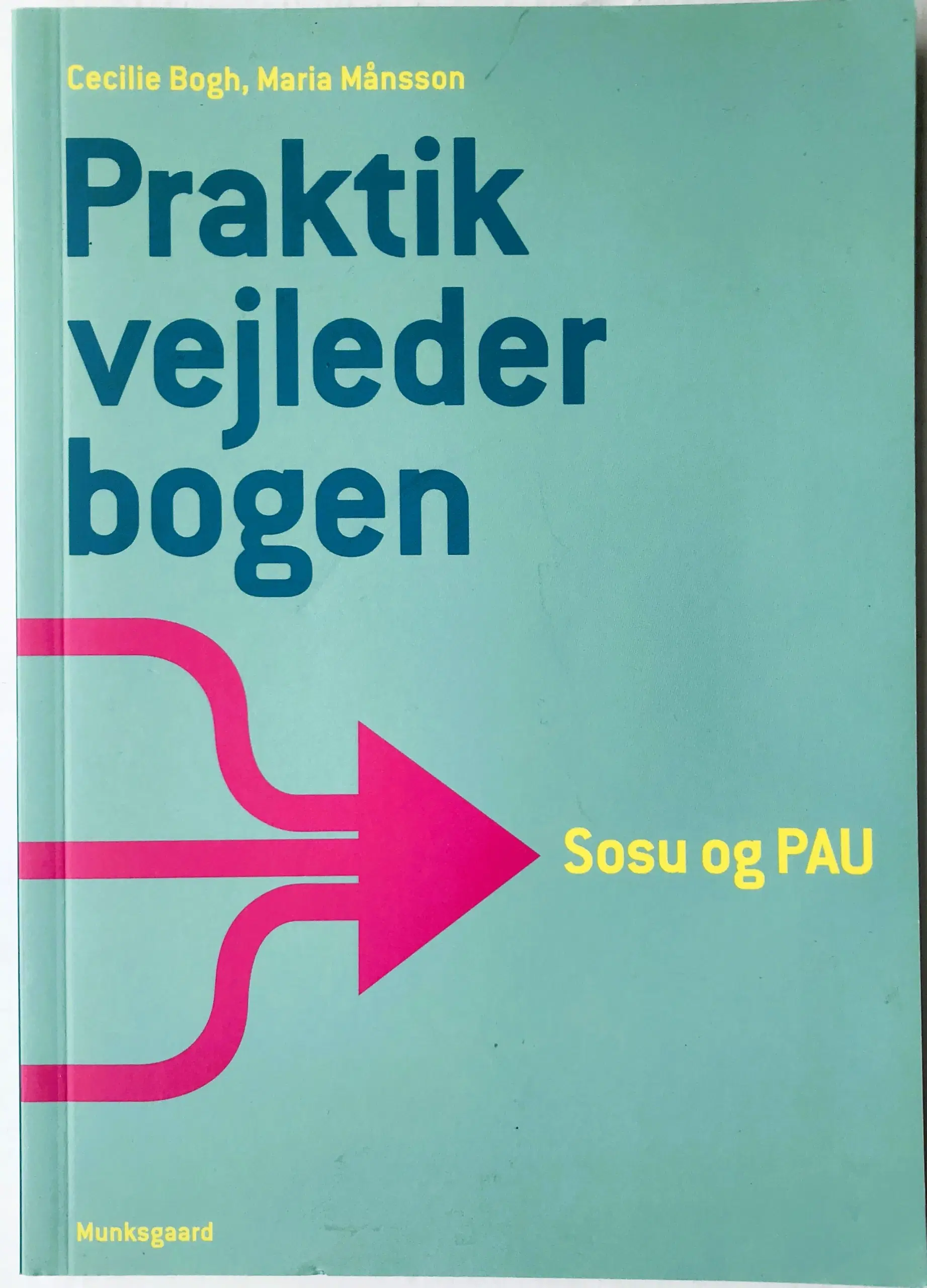 Praktikvejlederbogen - Cecilie Bogh  M Månsson