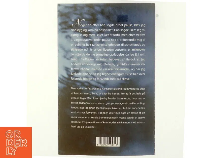 Sommeren uden mænd : roman af Siri Hustvedt (Bog)