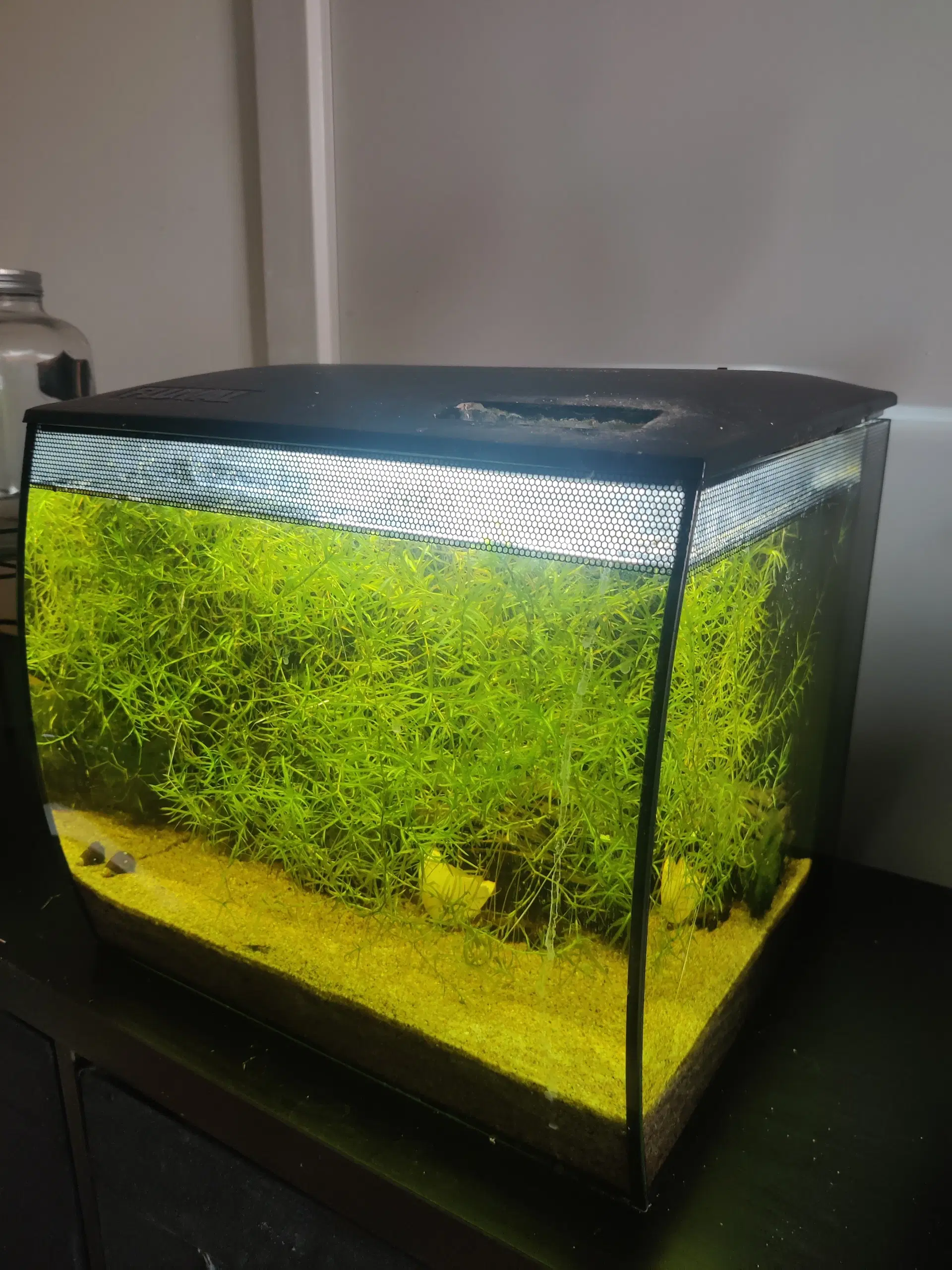 Fluval Flex 34L Akvarie