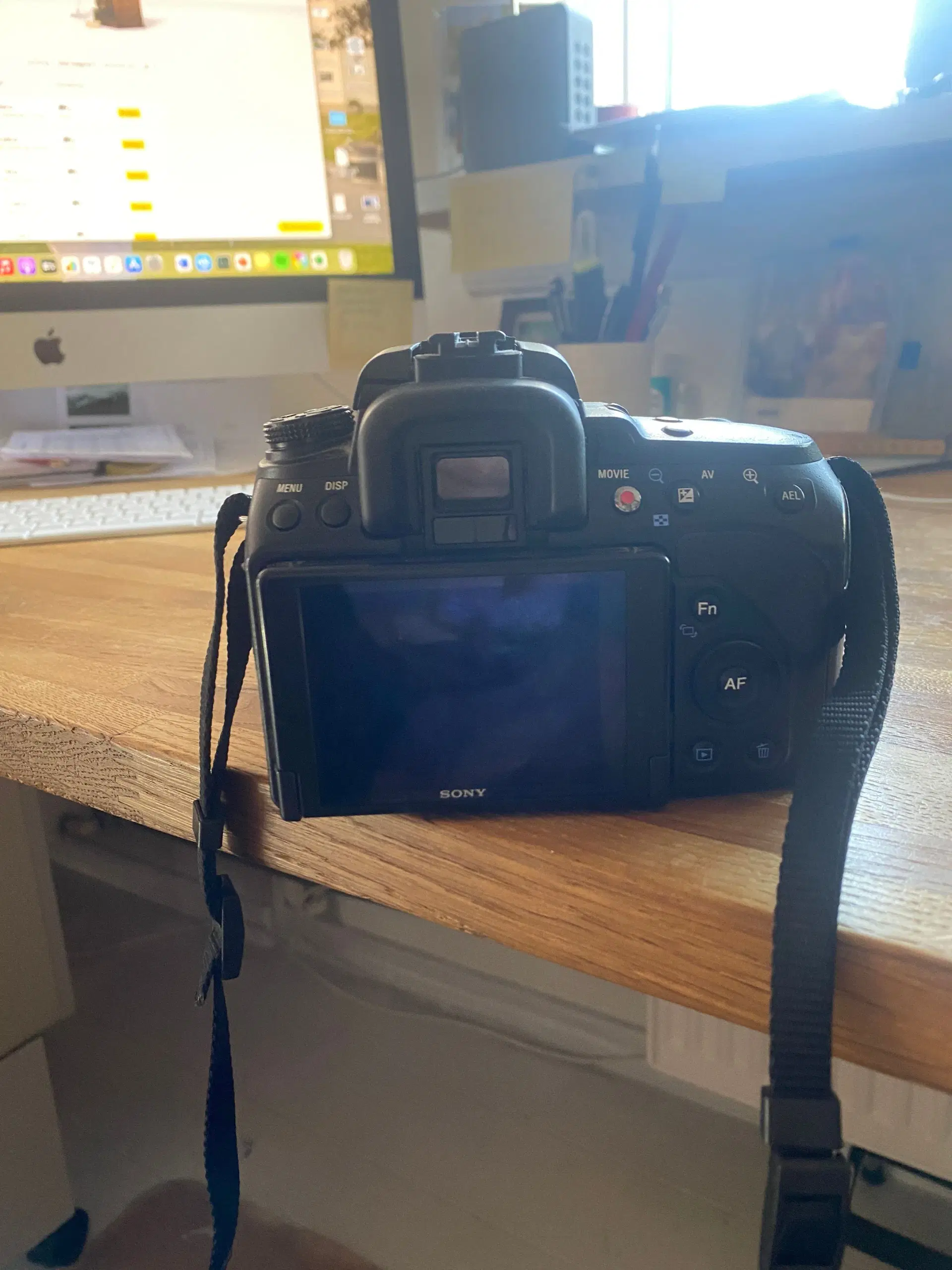 Sony Alpha A580 and A560 shoot AVCHD 1080i or MP4