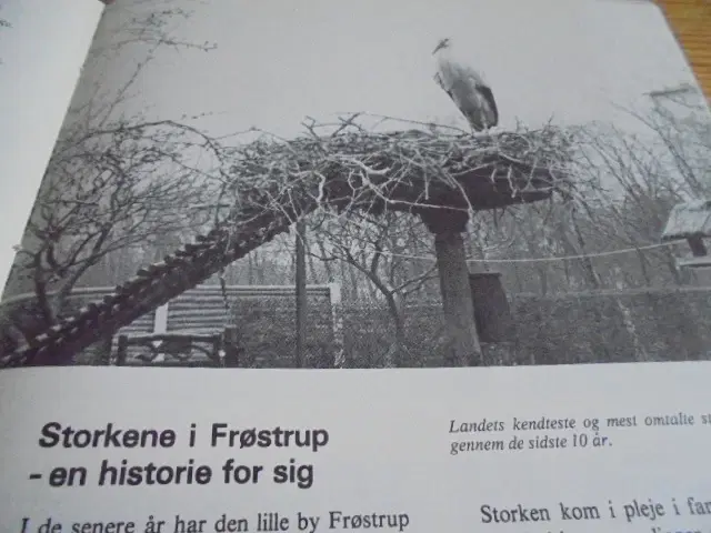 Storken – se fotos og omtale