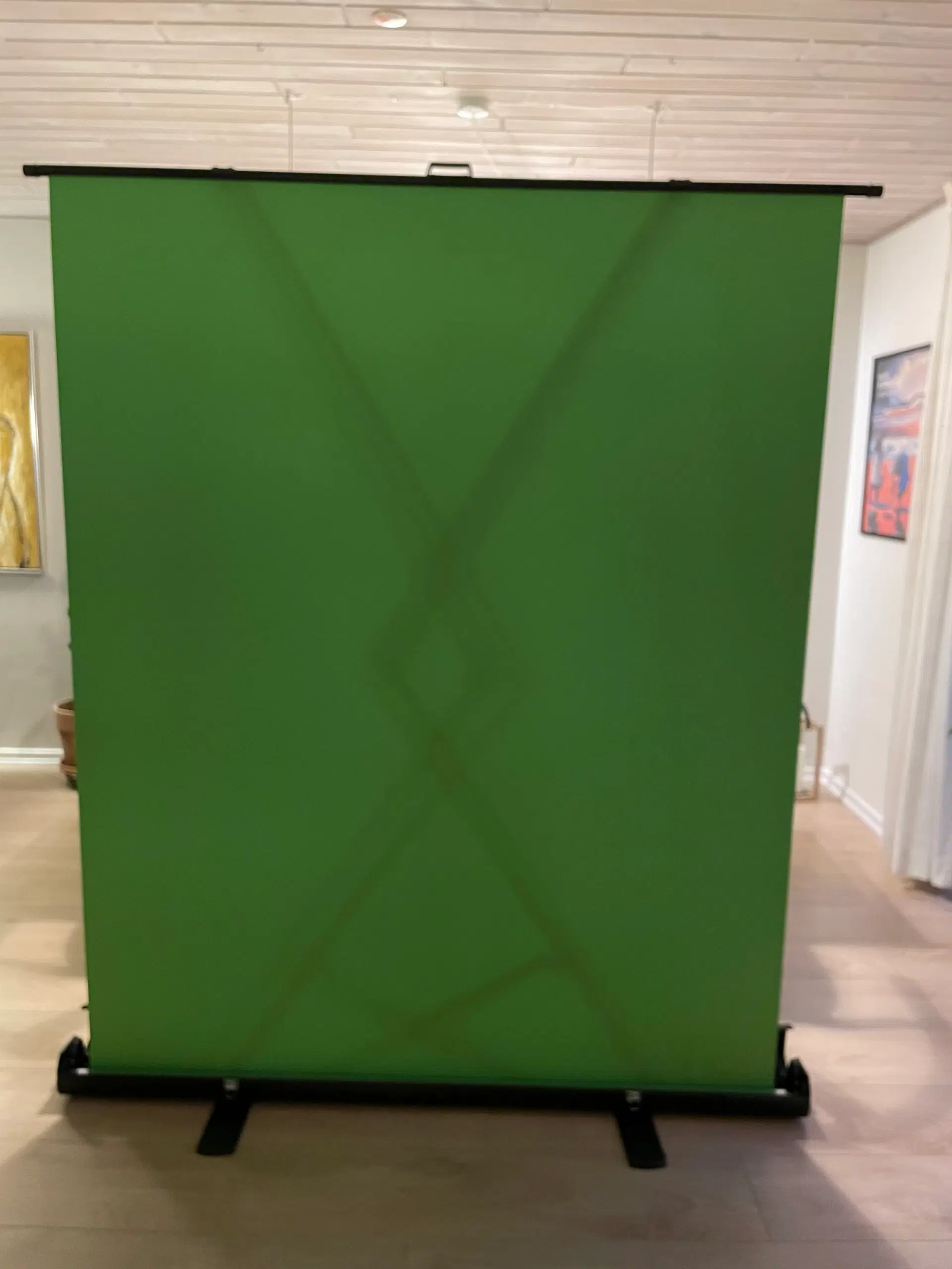 Green screen og mikrofon