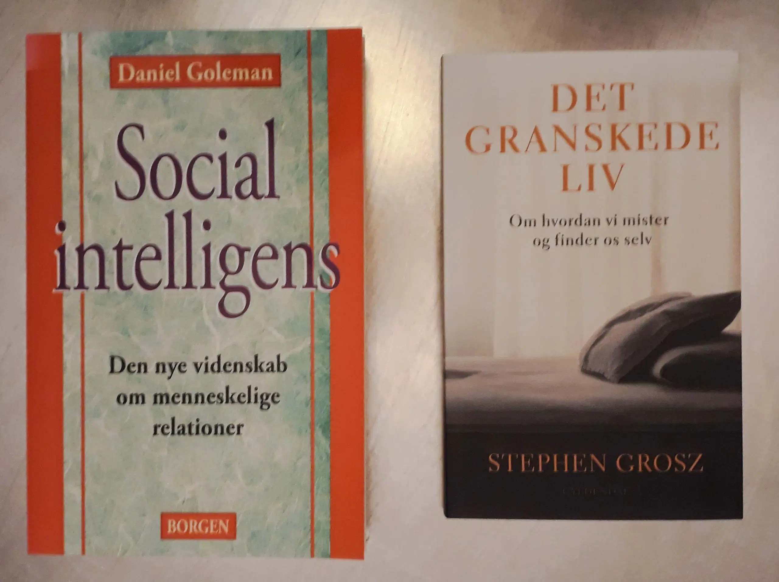 2 stk Psykologi Bøger