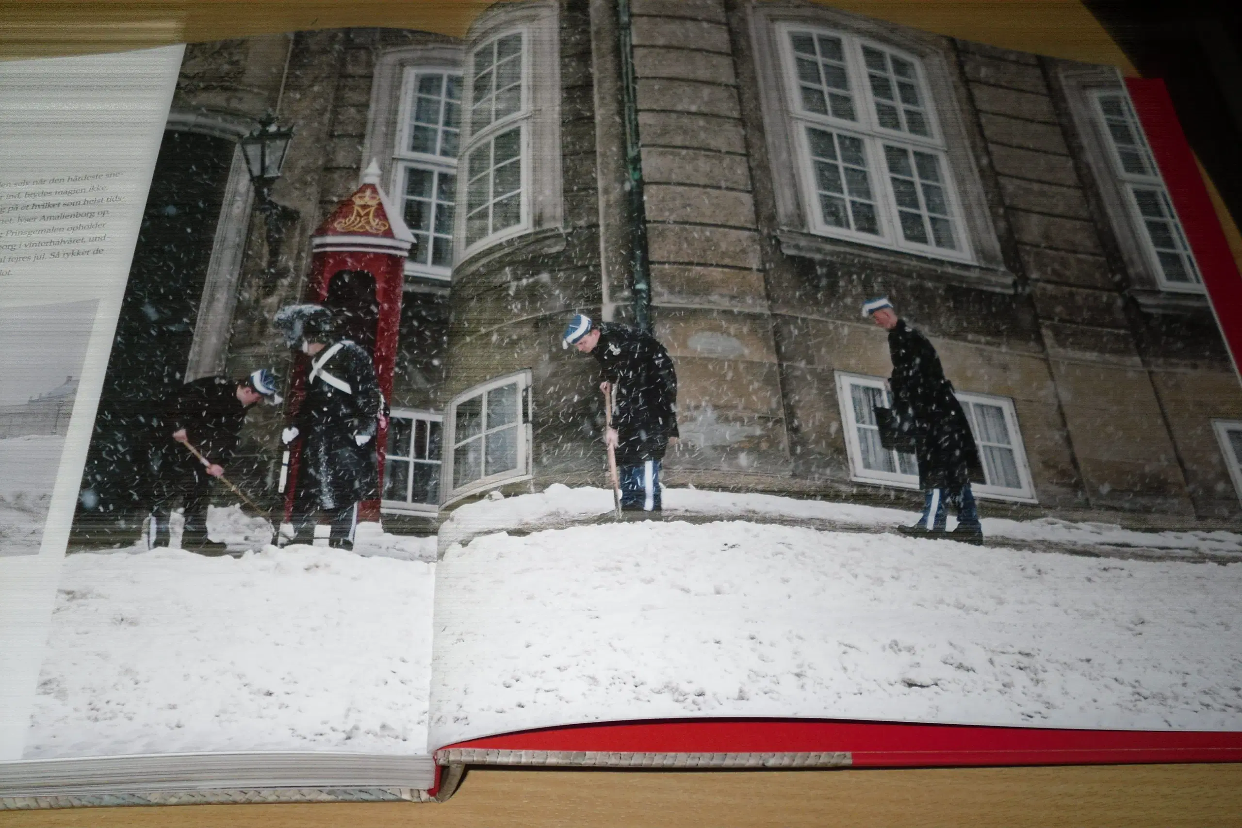 AMALIENBORG Gyldendal