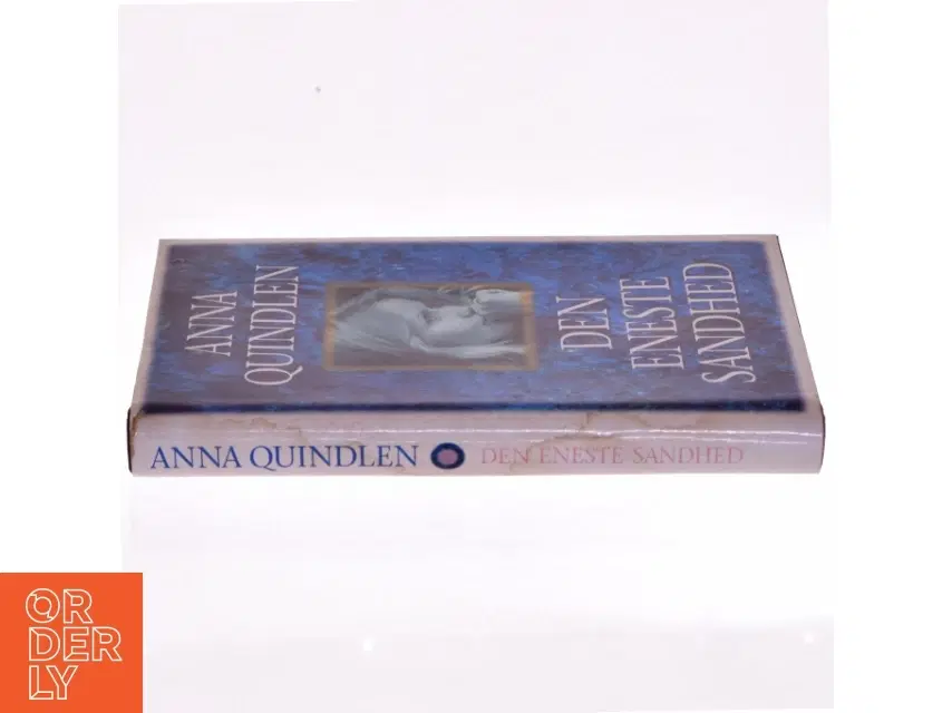 Anna Quindlen: Den Eneste Sandhed (Bog)