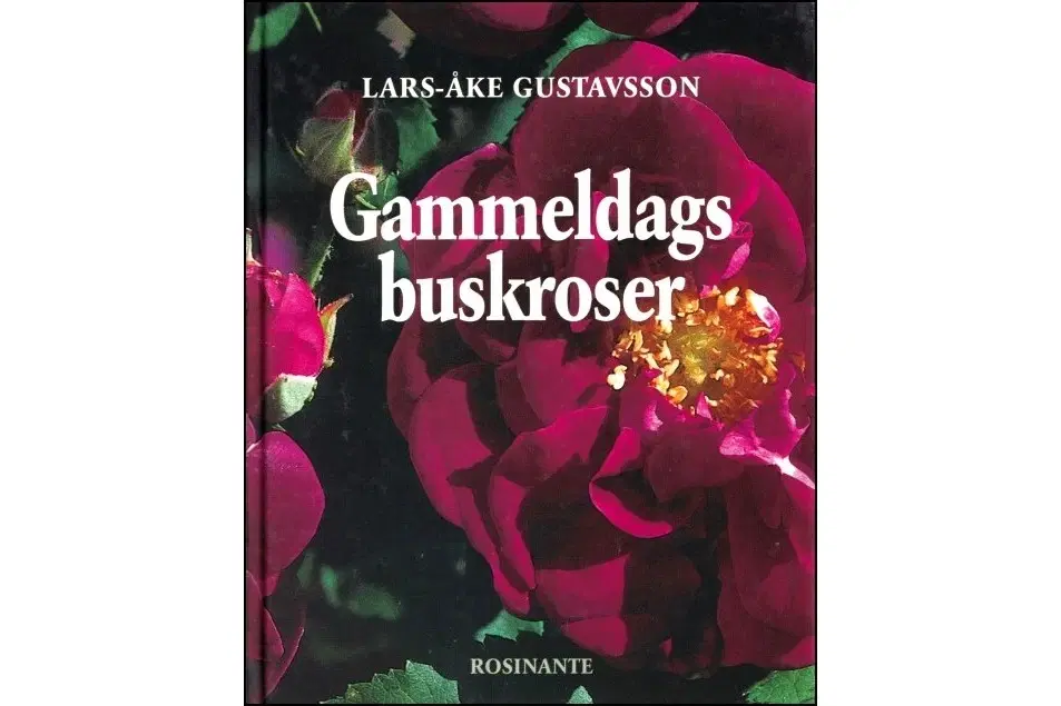 Gammeldags Buskroser