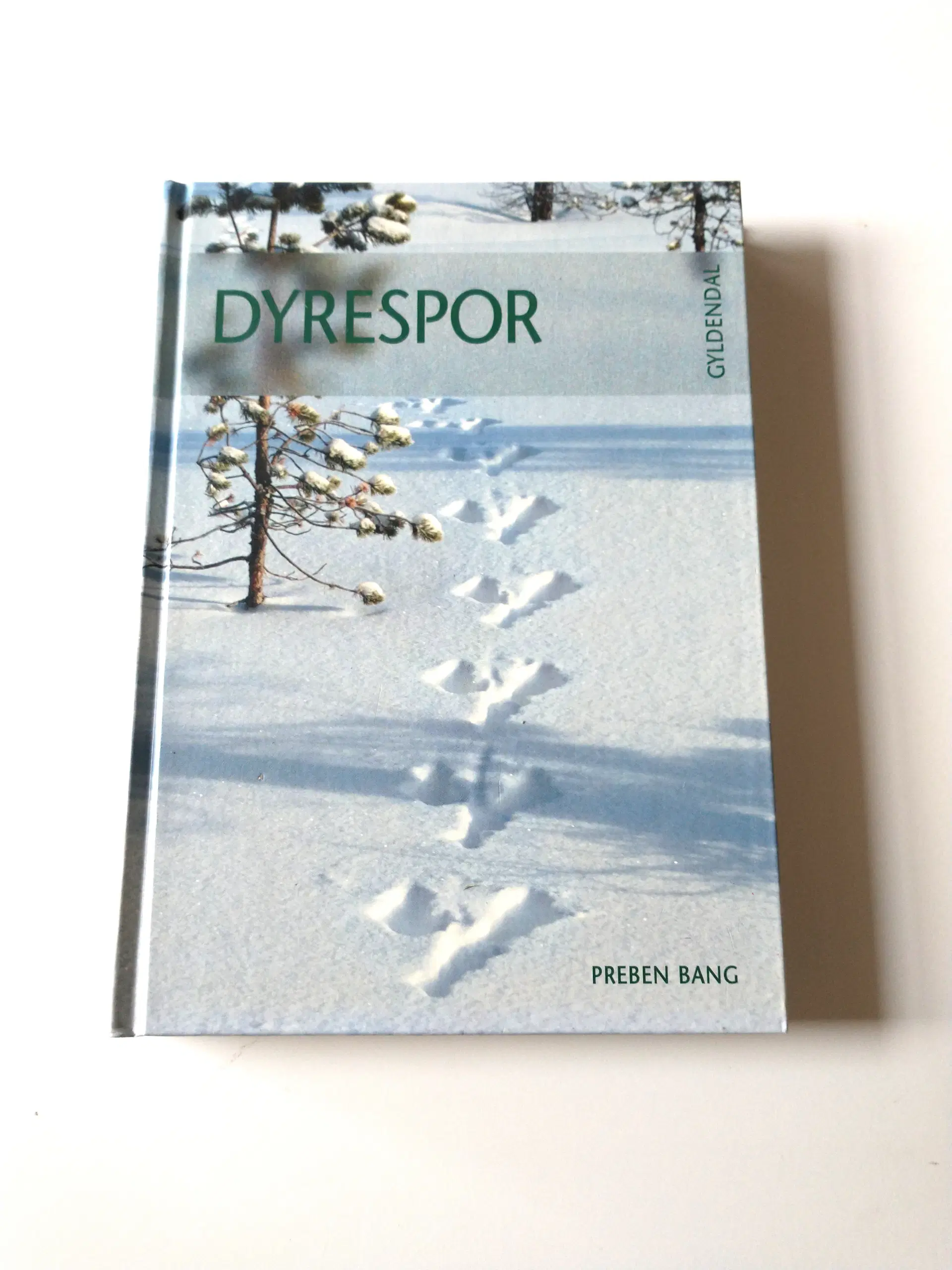 Dyrespor - fra pattedyr og fugle