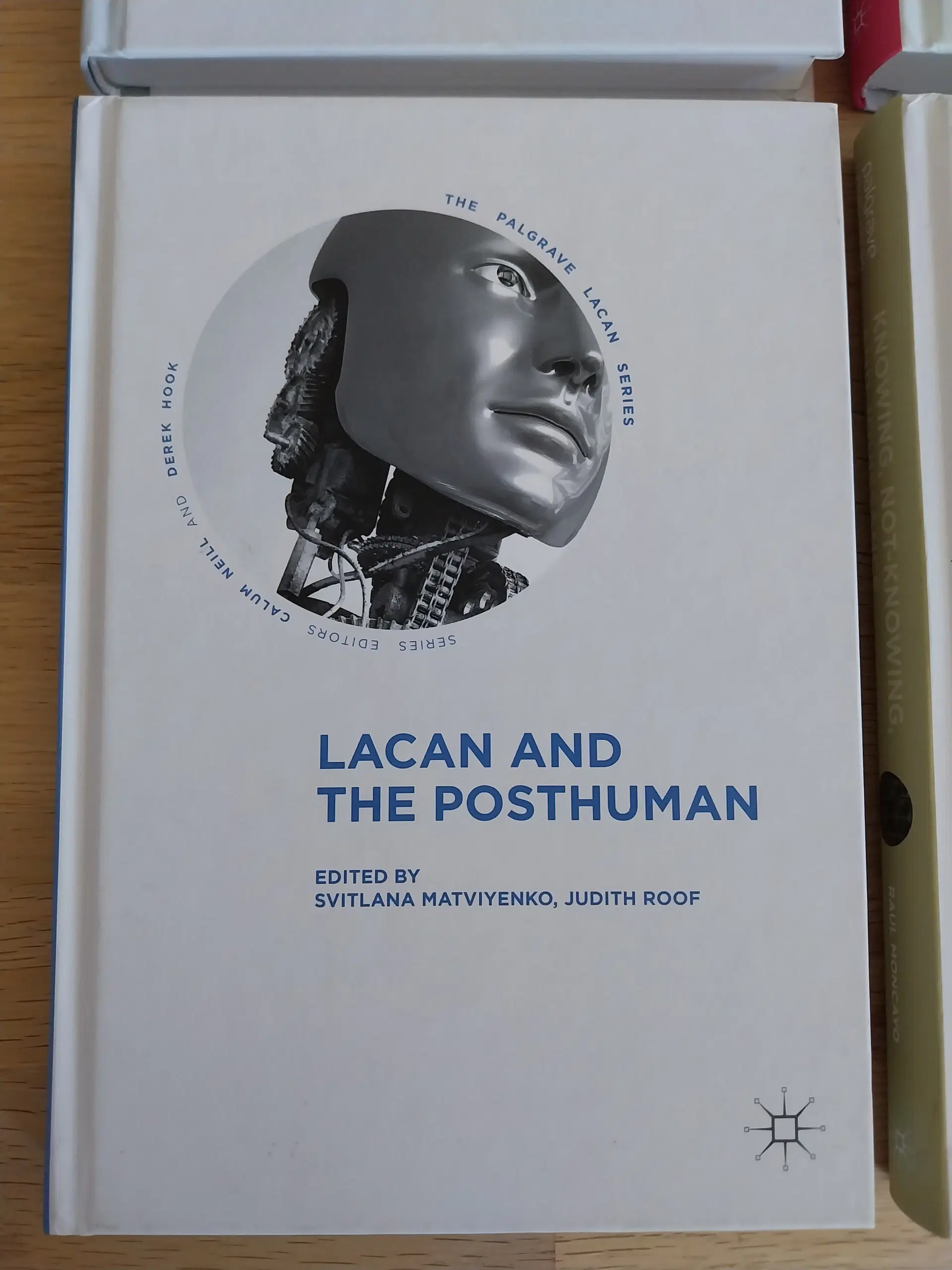 The Palgrave Lacan Series