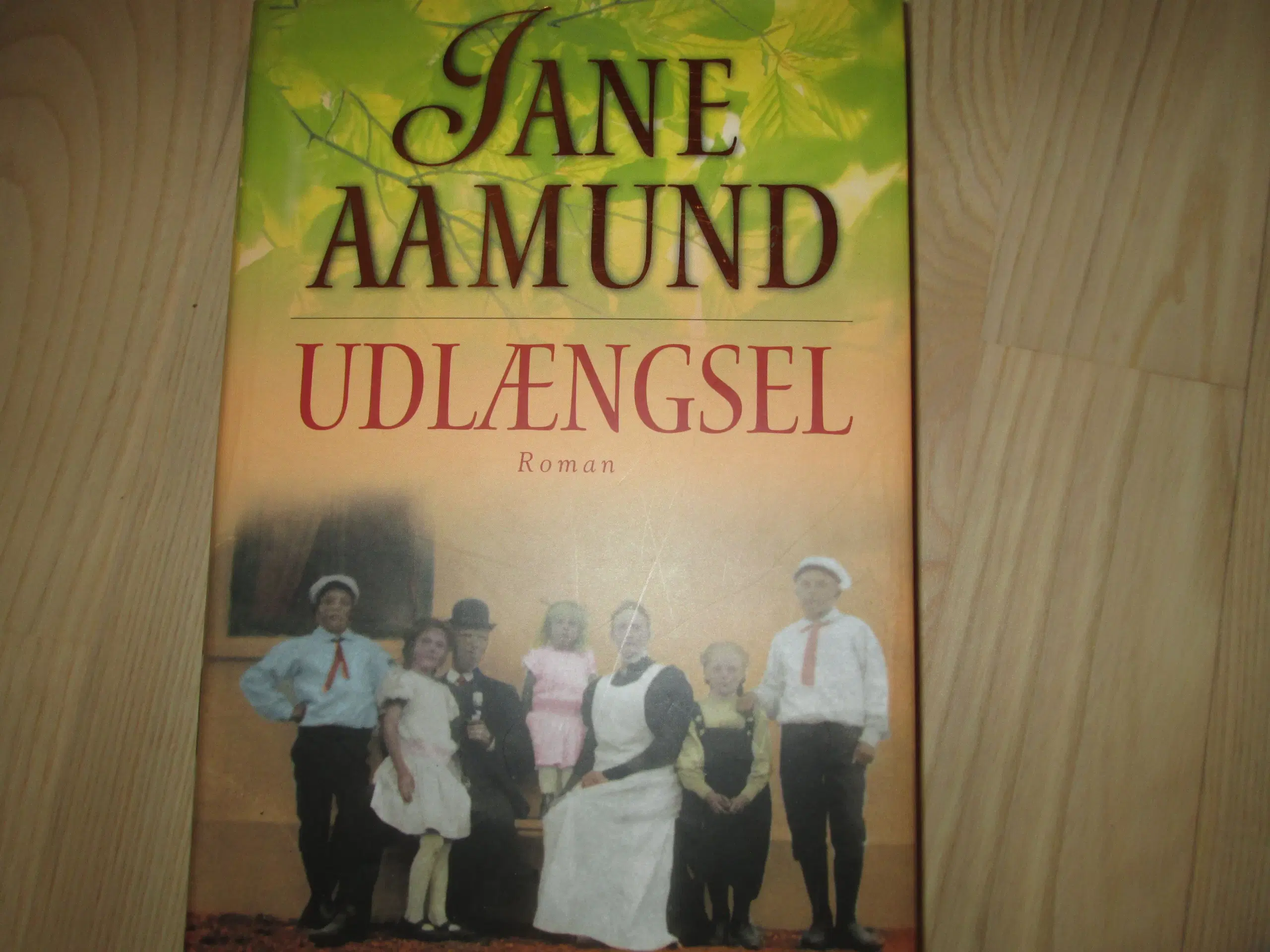 Bøger af Jane Aamund