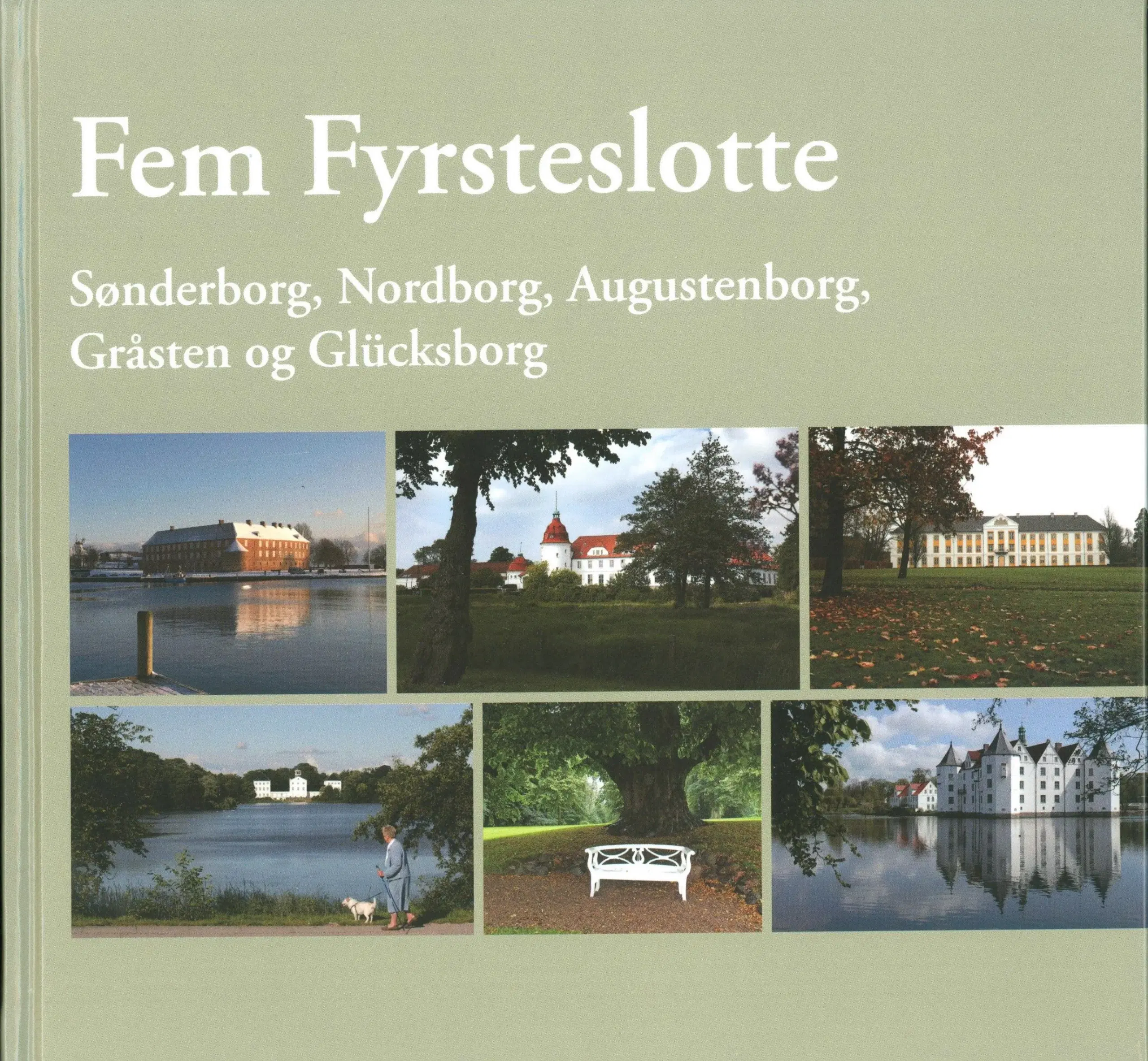 Fem Fyrsteslotte 2011