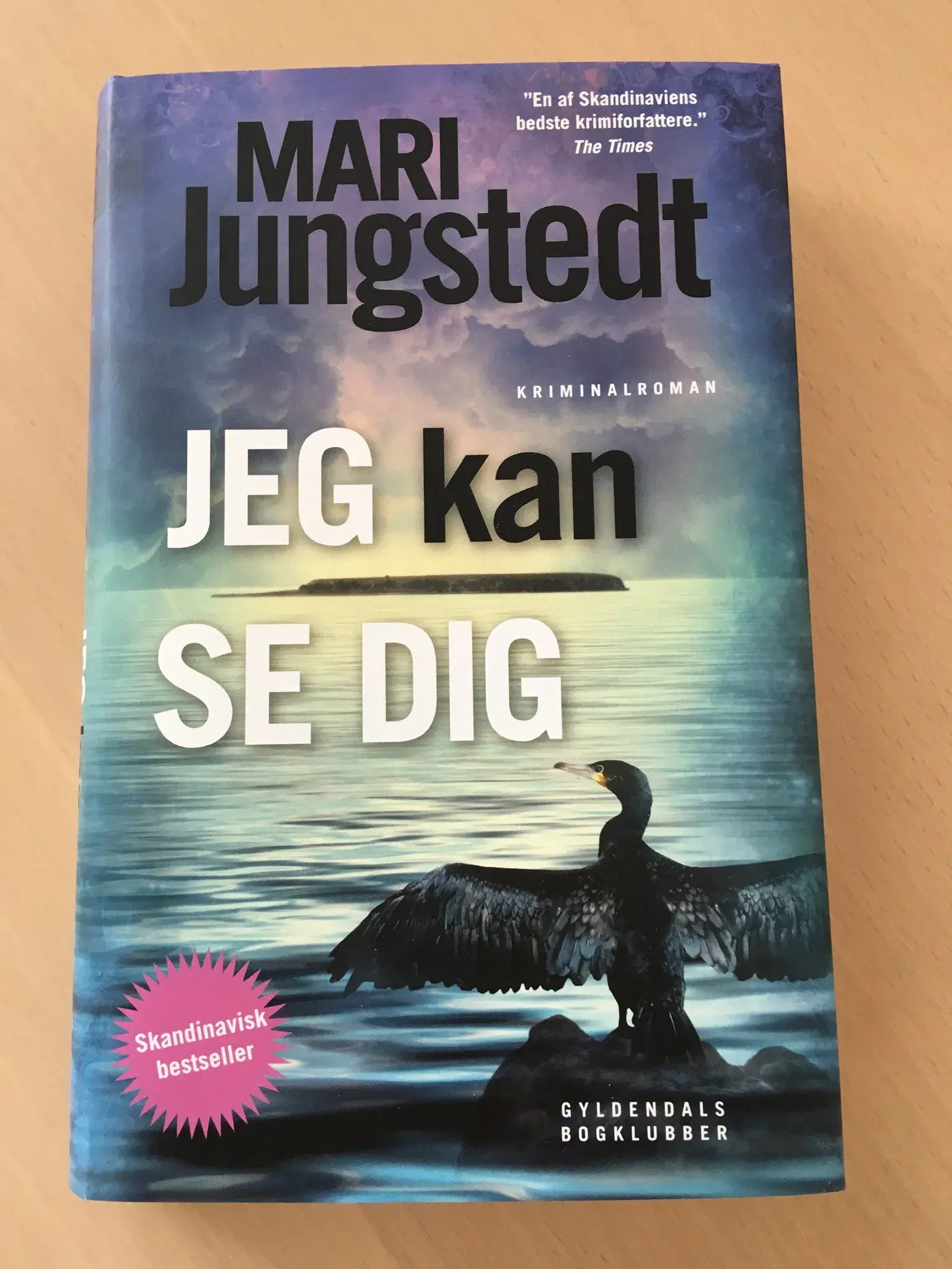 Mari Jungstedt krimi: Jeg kan se dig