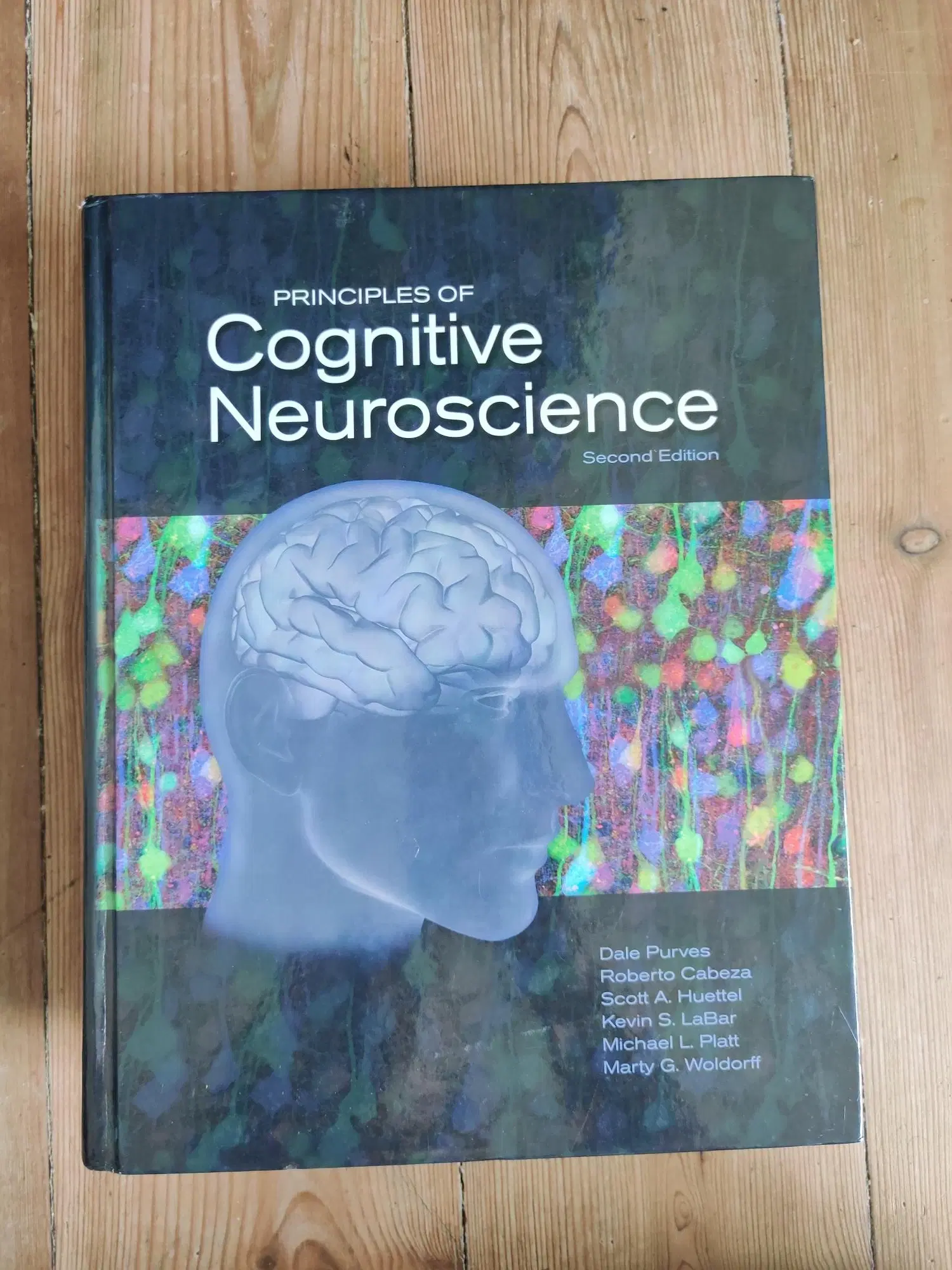 Principles of Cognitive Neuroscience