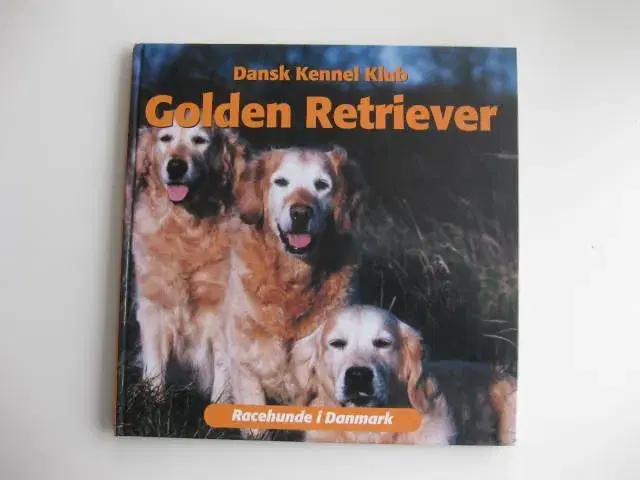 Golden Retriever