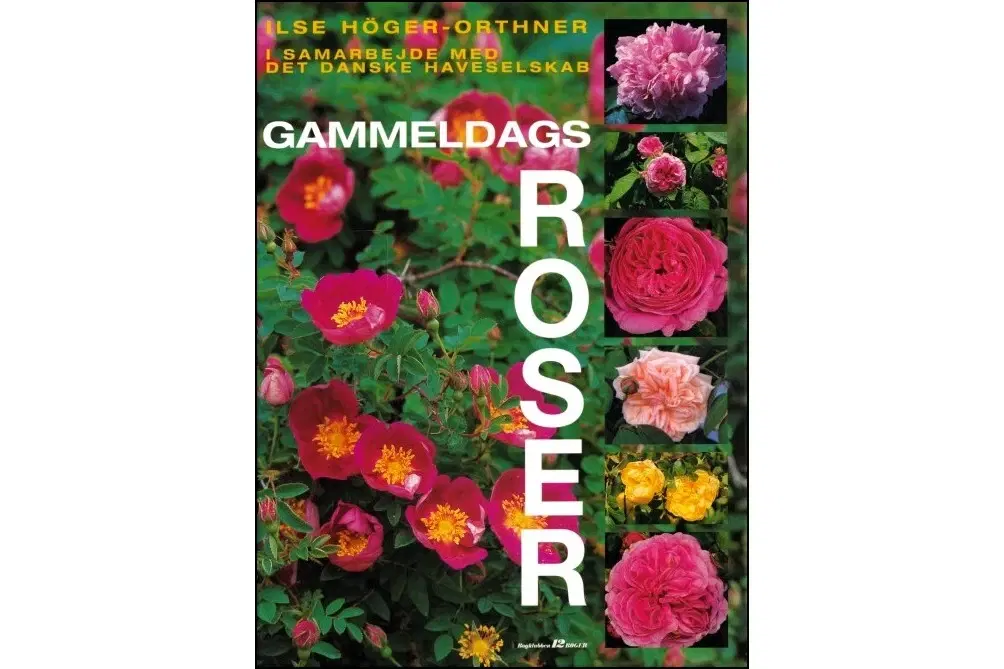 Gammeldags Roser