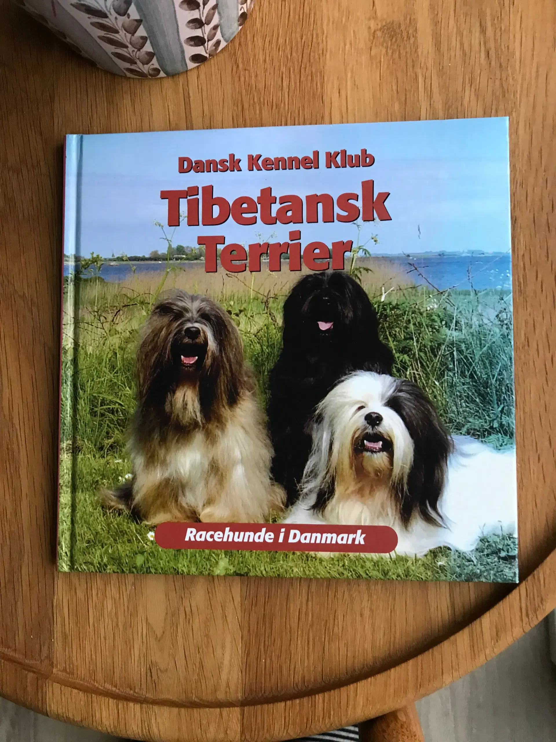 Tibetansk Terrier