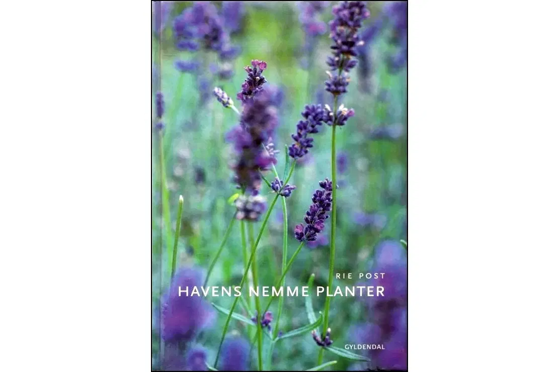 Havens nemme Planter