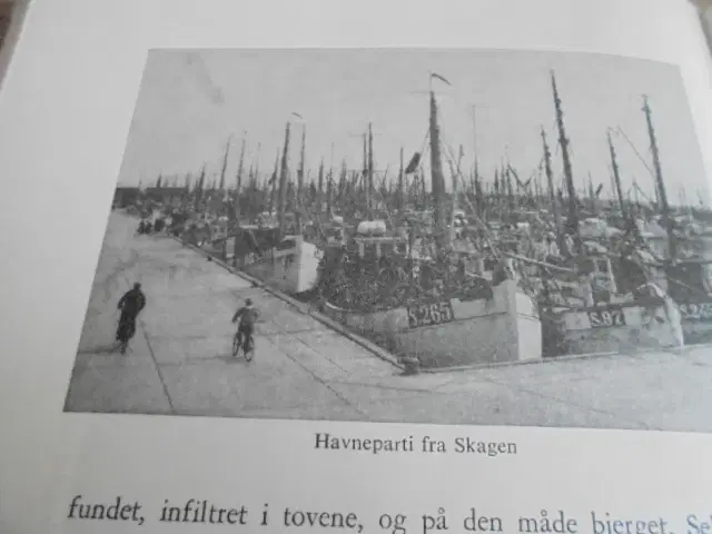 Blade af Skagens historie – meget interessant