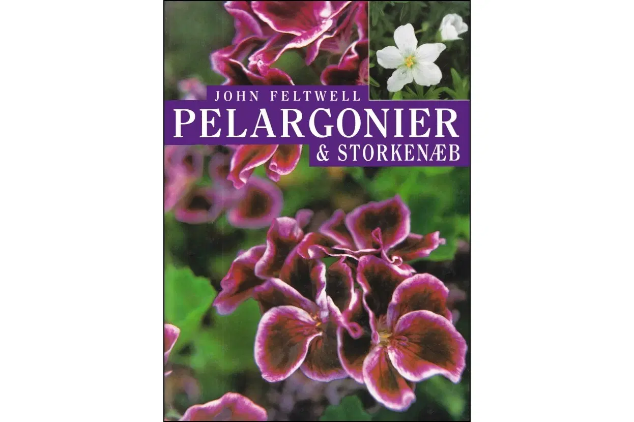 Pelargonier  Storkenæb