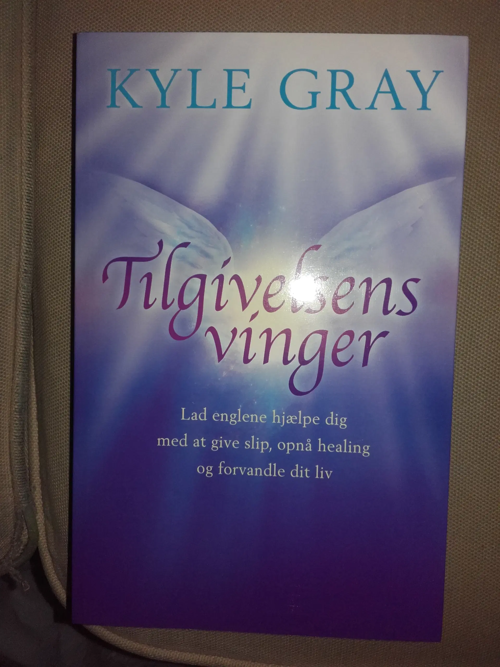 Tilgivelsens Vinger - Af Kyle Gray - bog