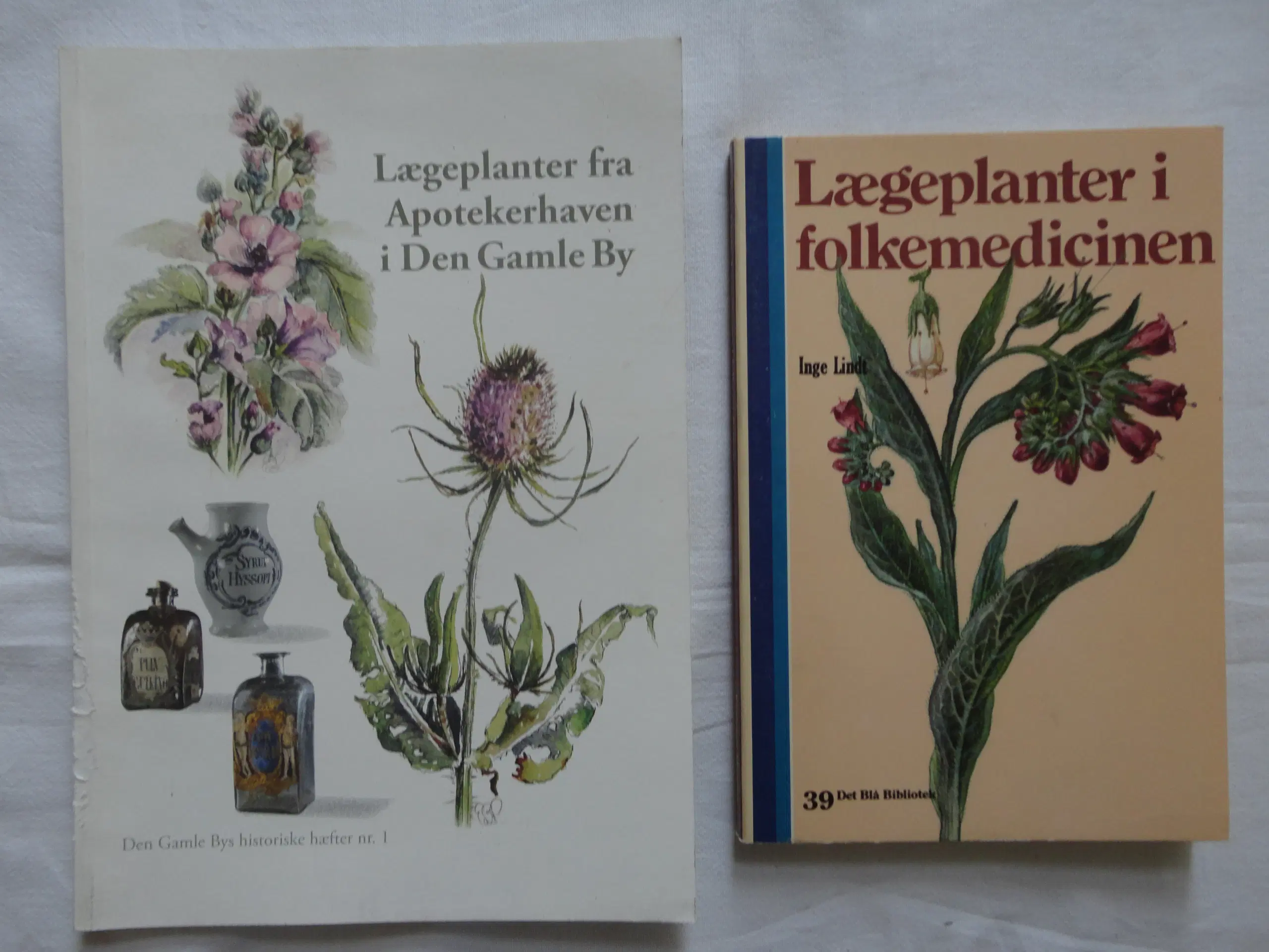 Læge Planter  []