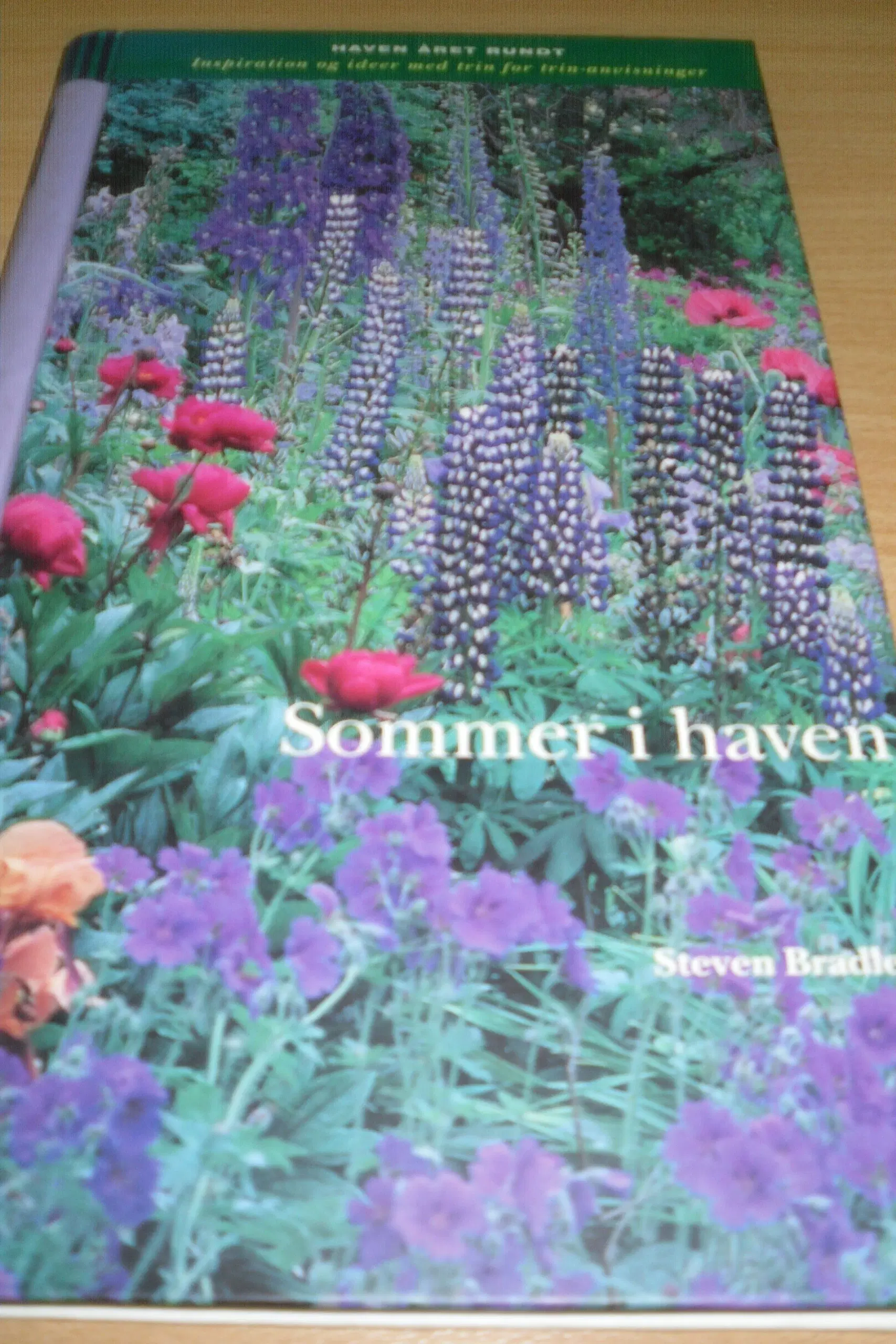 Steven Bradley; SOMMER I HAVEN