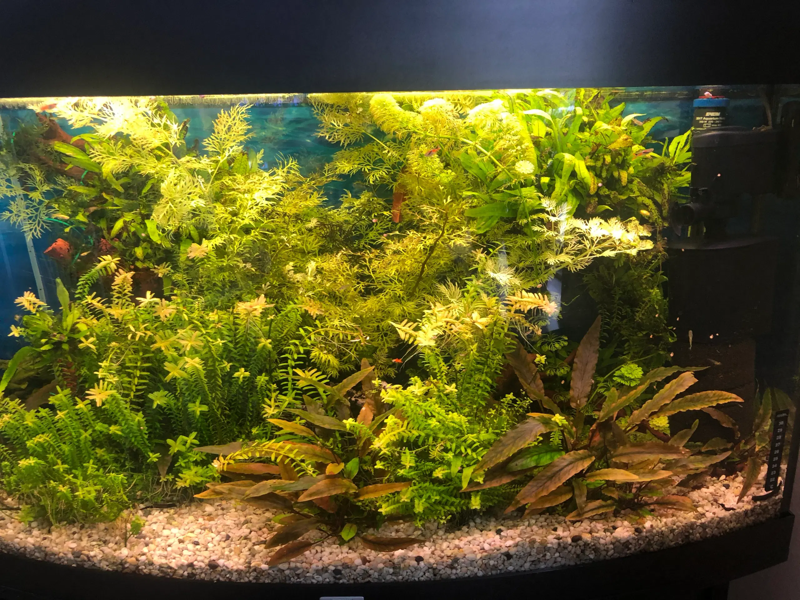 akvarie 180 l