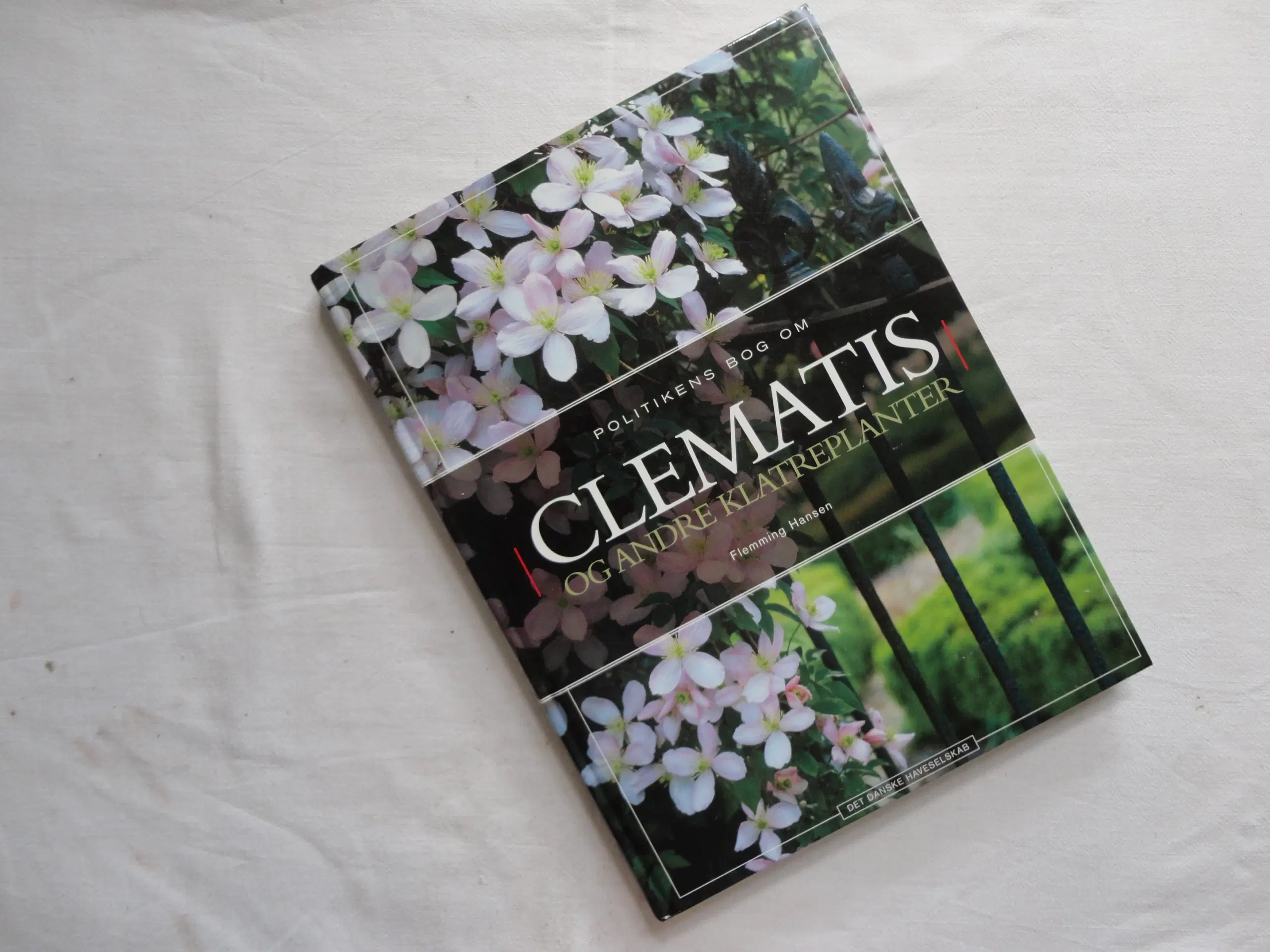 Clematis - Klematis  :