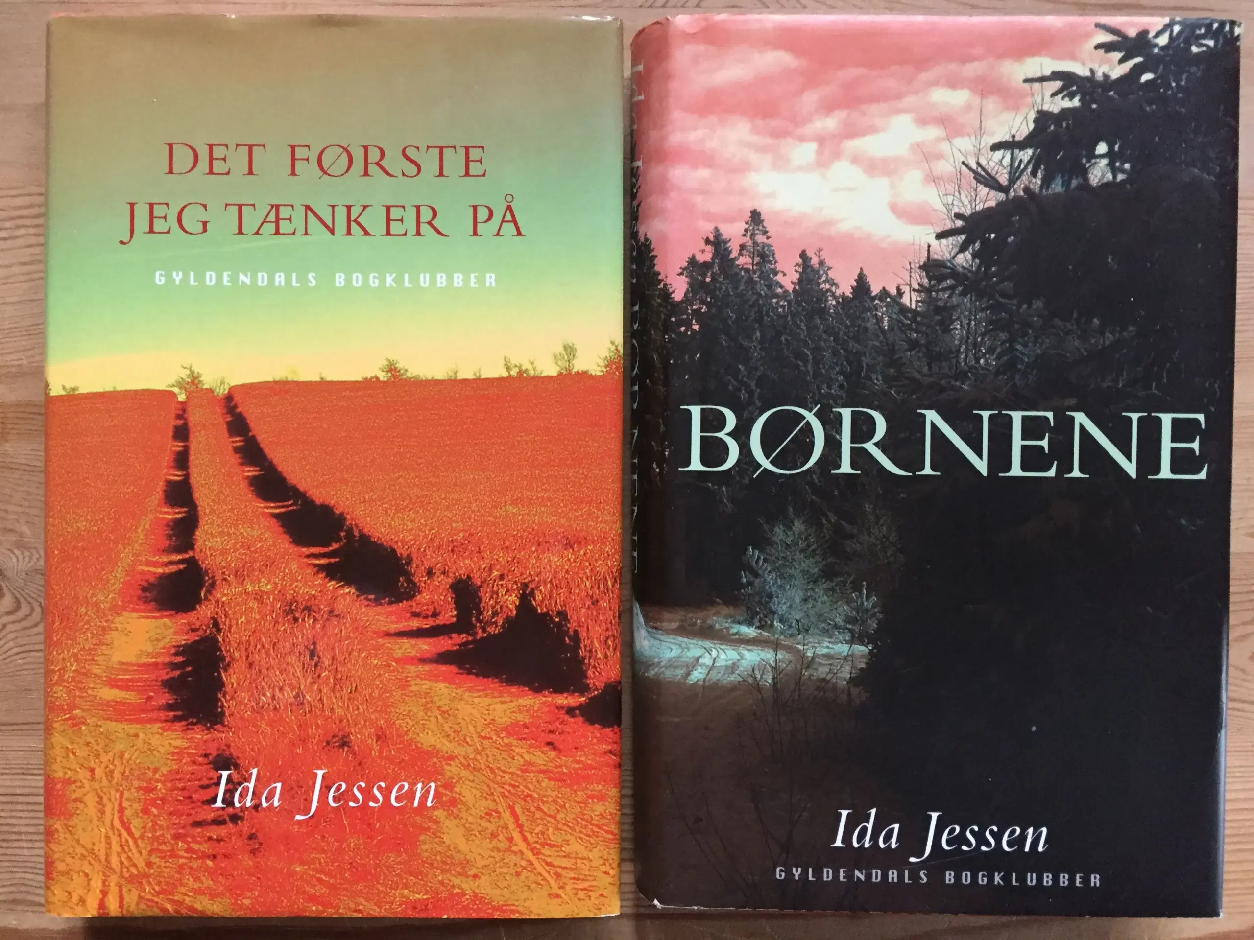 Ida Jessen 2 romaner