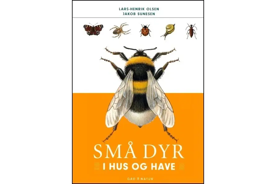 Små dyr i hus og have