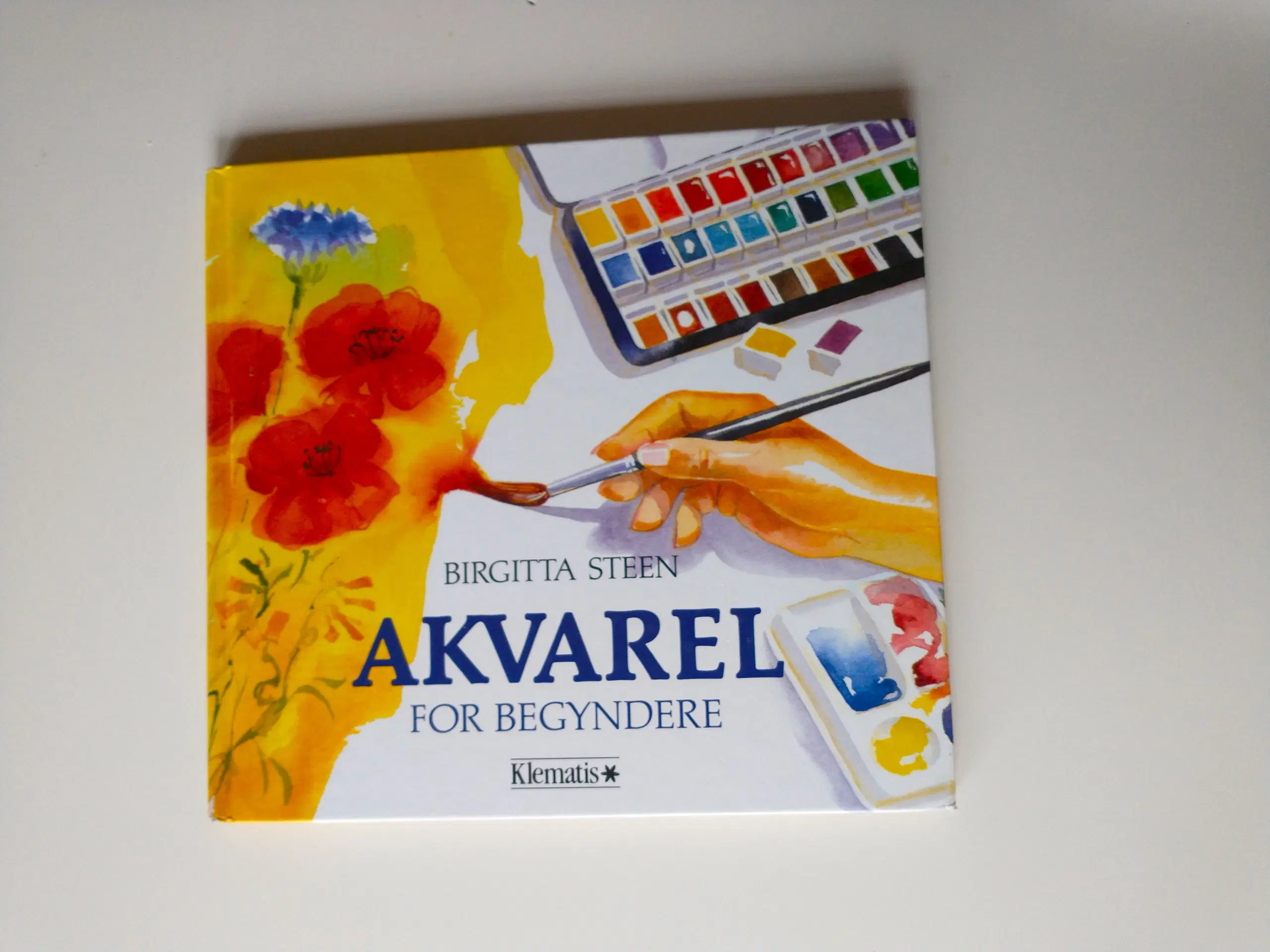 Akvarel for begyndere Af Birgitta Steen