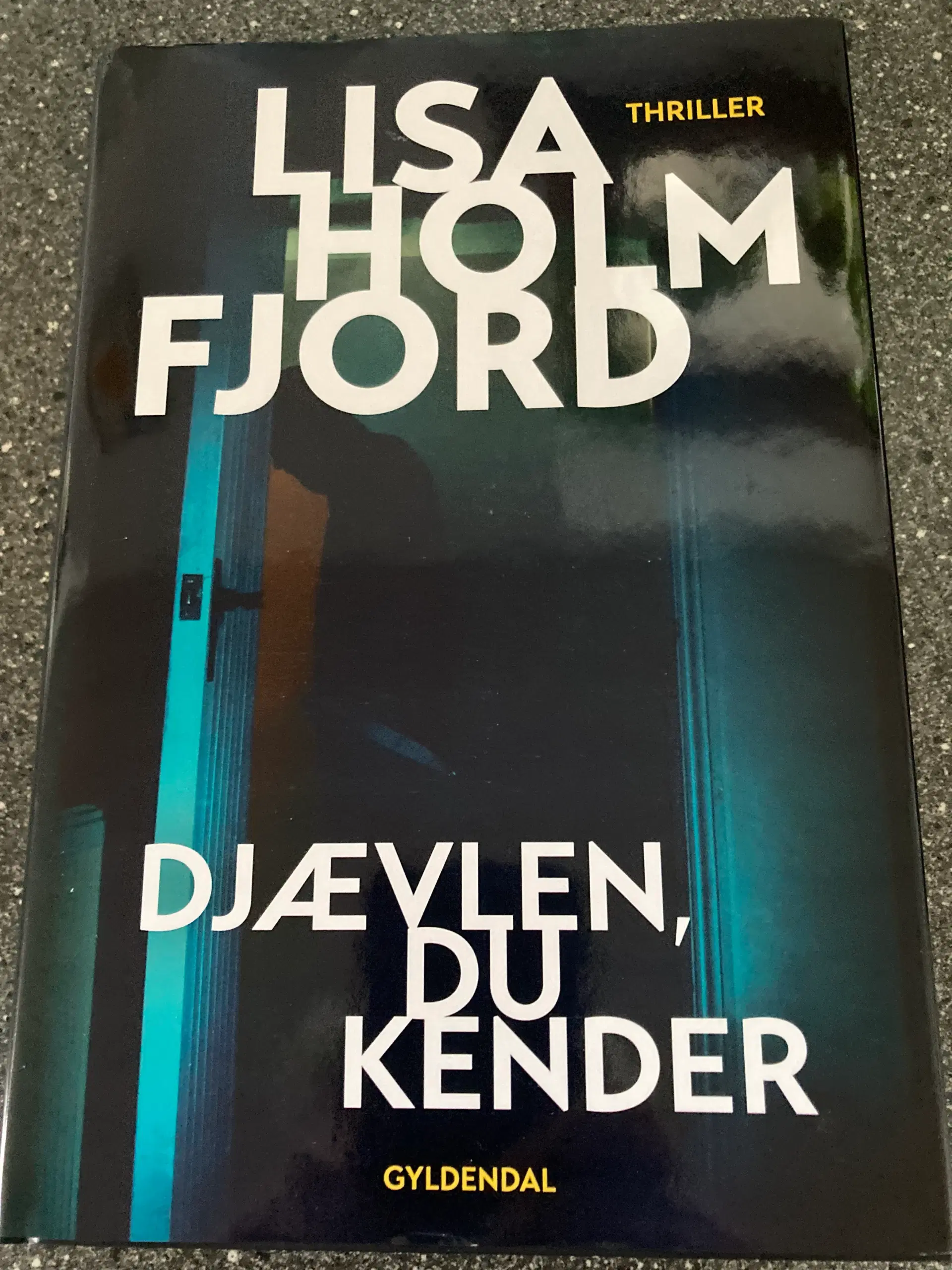 Djævlen du kender af Lisa Holm Fjord