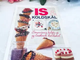Is og koldskål