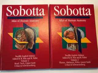 Anatomisk atlas 2 bind - Sobotta