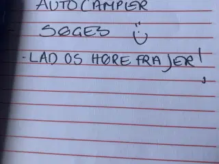 Autocamper søges min. 4 sovepladser