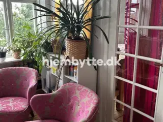 Hjembytte - Ryesgade