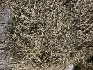 Morten Koch Balle byg 