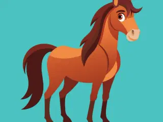 Hest / pony søges