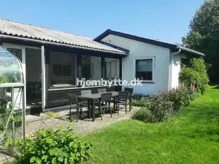 Hjembytte - Mosevangen