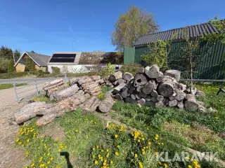 Træ Bøg kævler cirka 15 rummeter