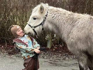 Lækker hingst føl