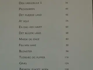 skitsebog, af ole kortzau, emne: kunst og kultur