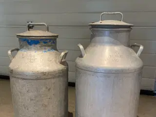 Mælkejunger