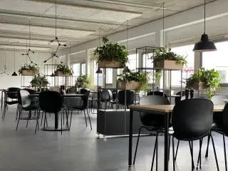 Kontor med udsigt til grønne arealer i Herlev