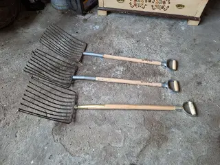 Kartoffelgreb