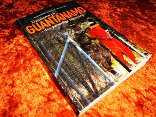 Danskeren på Guantánamo, Matias Seidelin