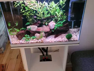 Akvarium med alt 